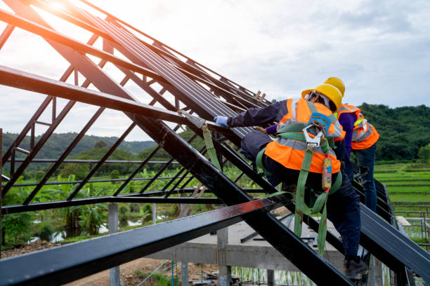 Best Roof Repair Services  in Kingsport, TN