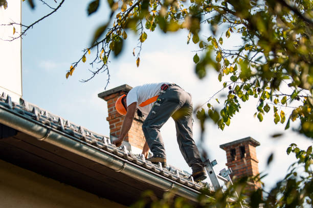 Best Gutter Installation and Roofing  in Kingsport, TN