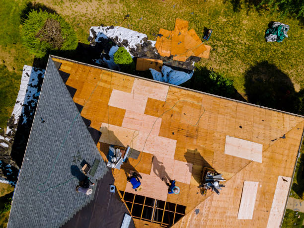 Roof Waterproofing Services in Kingsport, TN