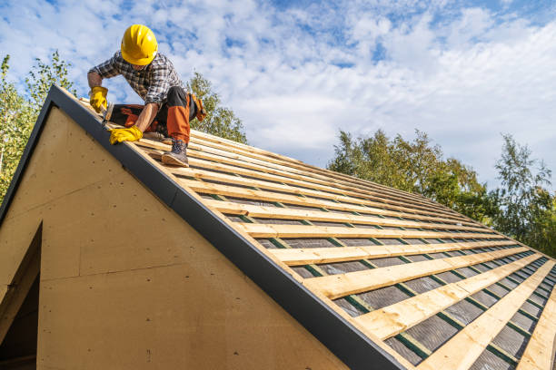 Best Storm Damage Roof Repair  in Kingsport, TN